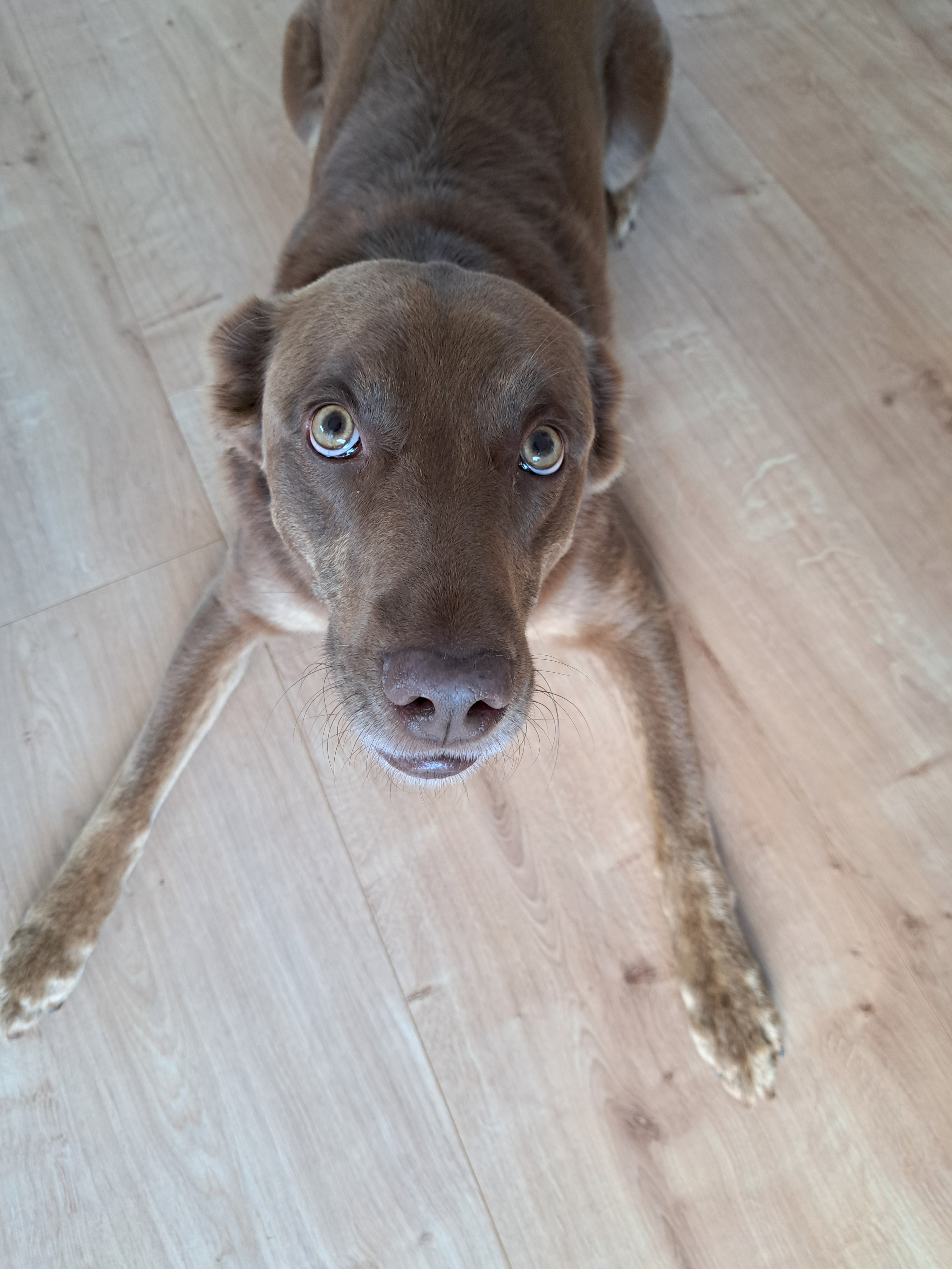 Nelly_1000084959.jpg